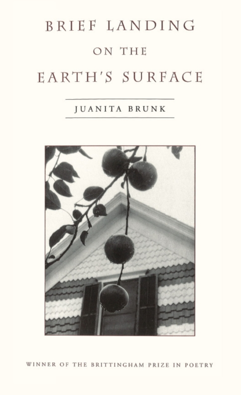 Cover image for book Brief Landing on the Earth's Surface