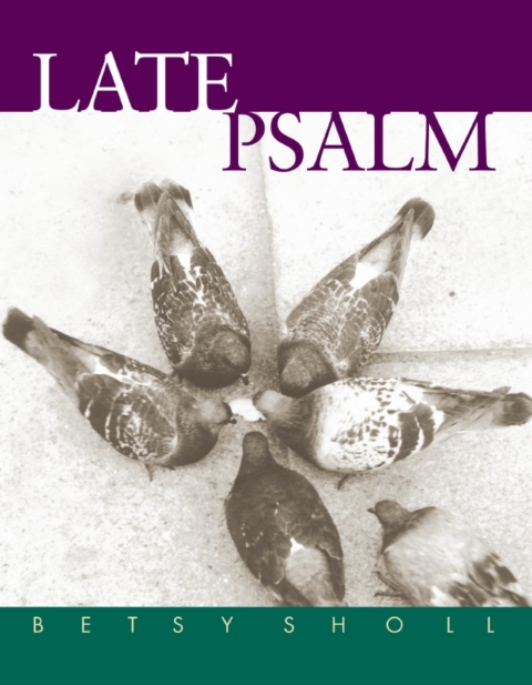 Cover image for book Late Psalm