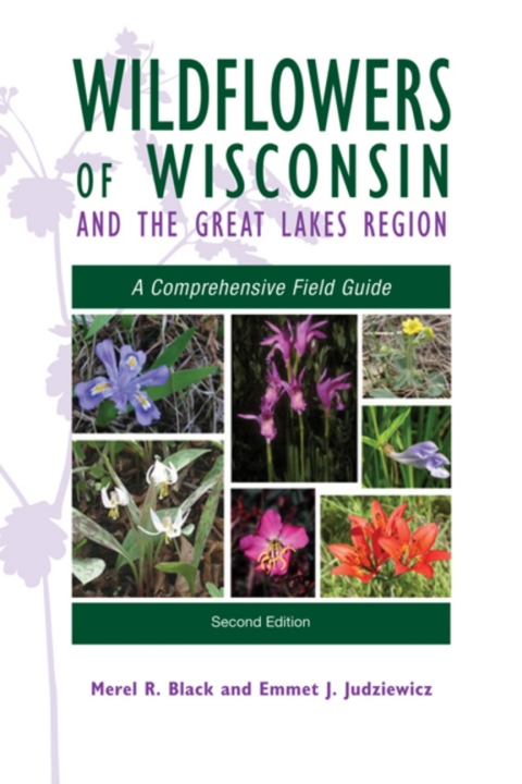Cover image for book Wildflowers of Wisconsin and the Great Lakes Region