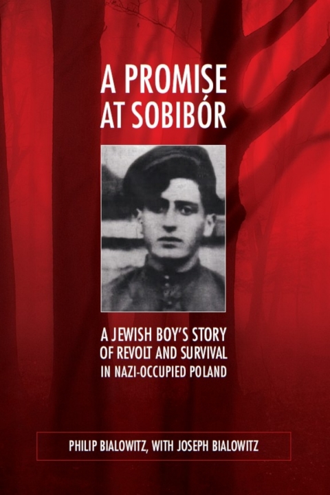 Cover image for book A Promise at Sobibór
