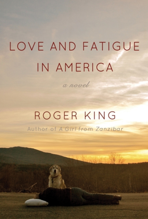 Cover image for book Love and Fatigue in America