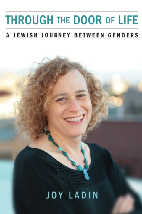 Cover image for book Through the Door of Life