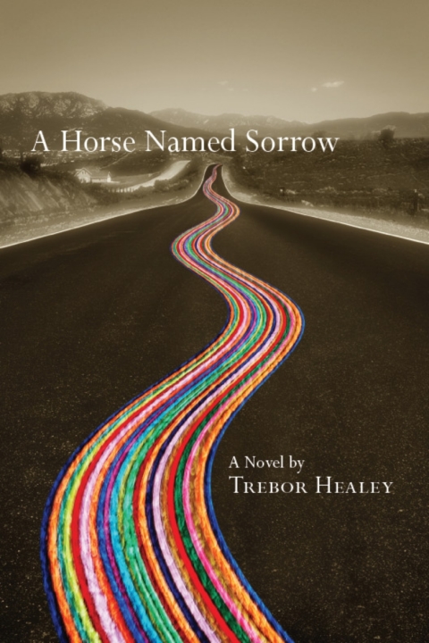 Cover image for book A Horse Named Sorrow