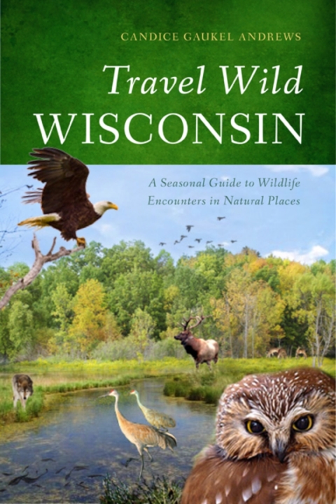 Cover image for book Travel Wild Wisconsin
