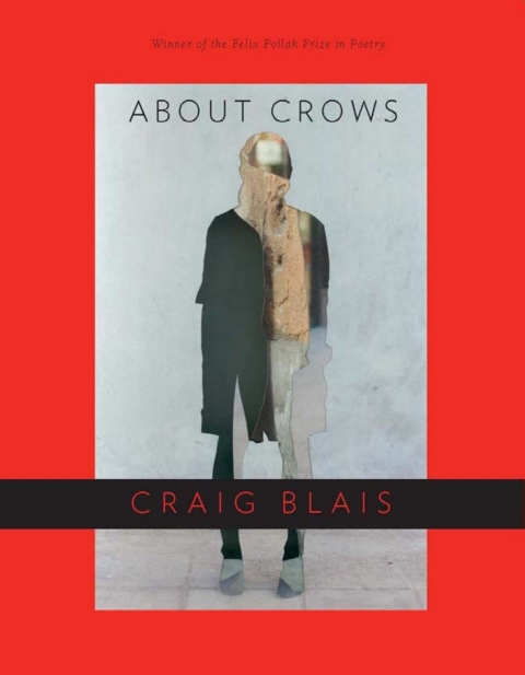 Cover image for book About Crows