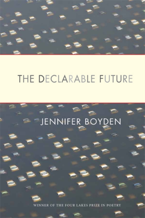 Cover image for book The Declarable Future
