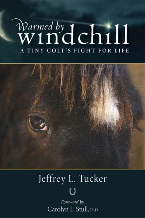 Cover image for book Warmed by Windchill