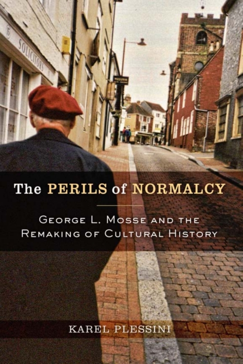 Cover image for book The Perils of Normalcy