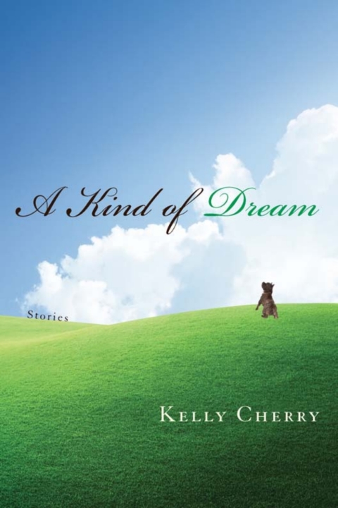 Cover image for book A Kind of Dream