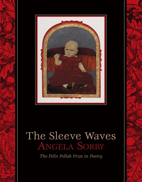 Cover image for book The Sleeve Waves
