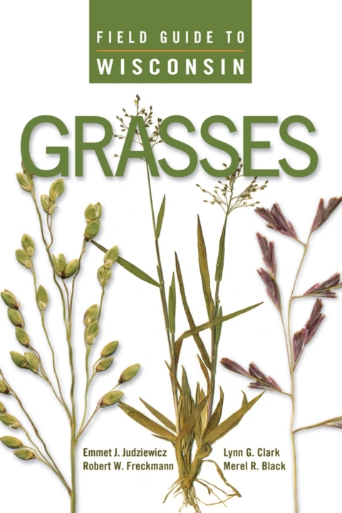 Cover image for book Field Guide to Wisconsin Grasses