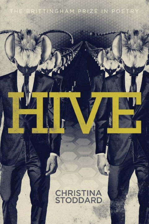 Cover image for book Hive