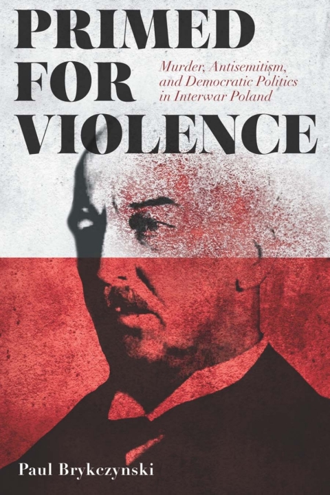 Cover image for book Primed for Violence