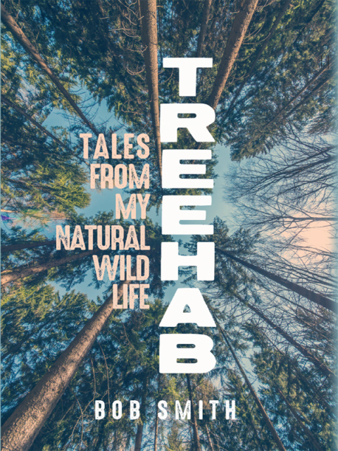Cover image for book Treehab