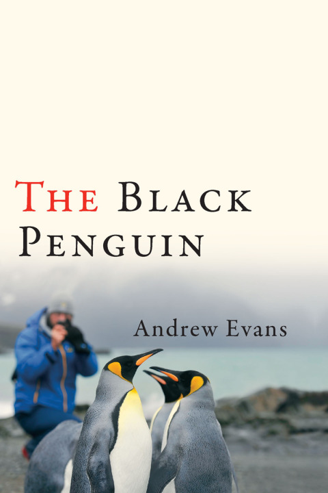Cover image for book The Black Penguin