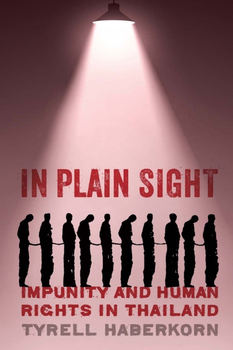 Cover image for book In Plain Sight