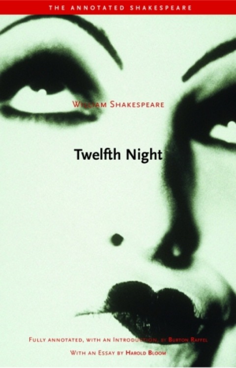 Cover image for book Twelfth Night
