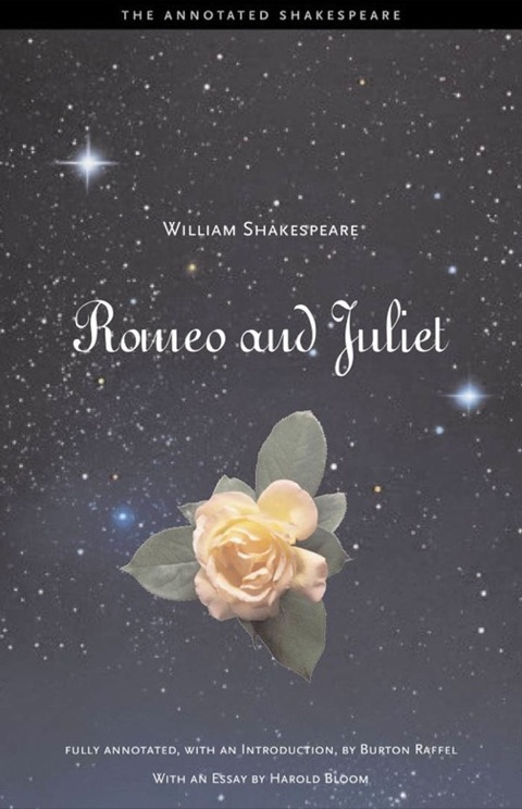 Cover image for book Romeo and Juliet