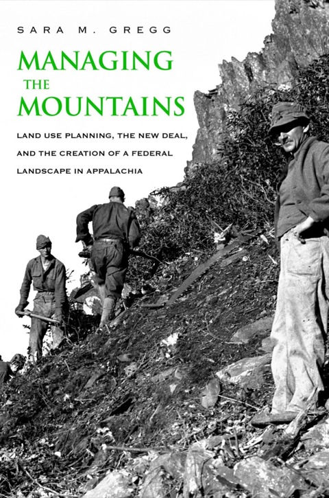 Cover image for book Managing the Mountains