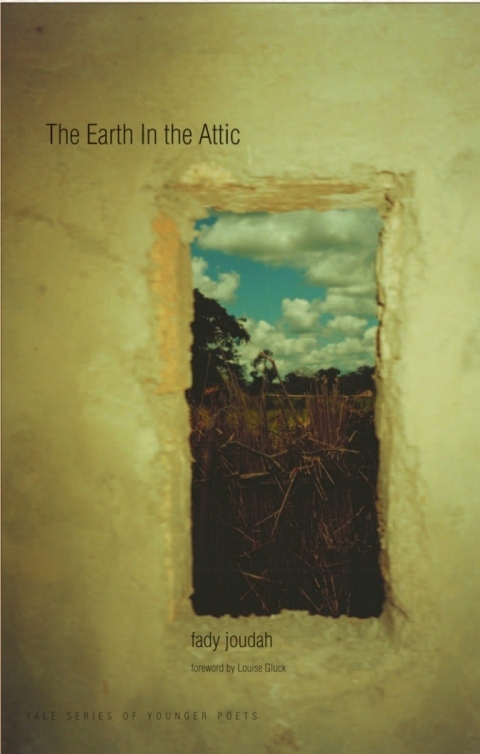 Cover image for book The Earth in the Attic