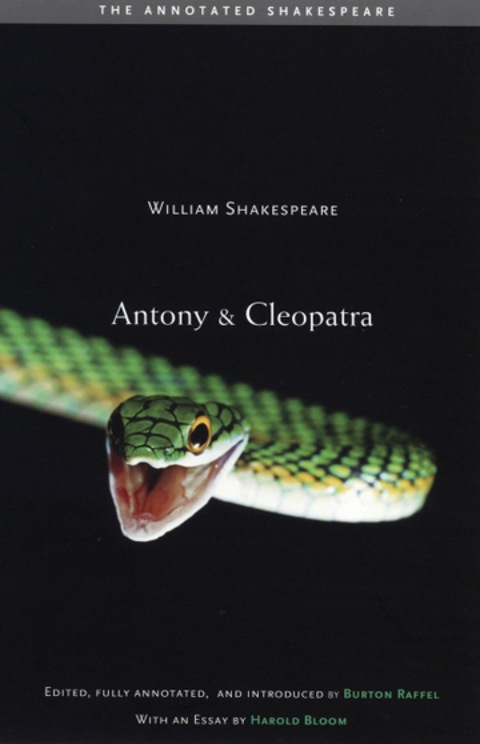 Cover image for book Antony and Cleopatra