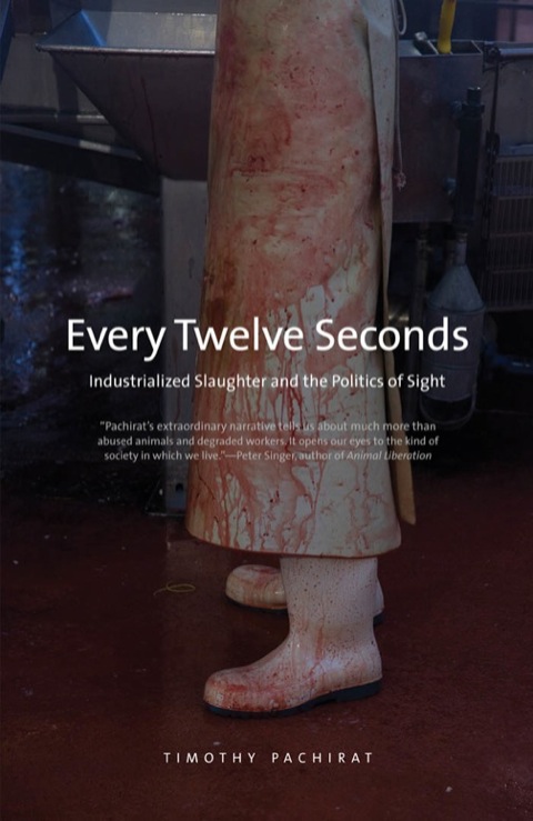 Cover image for book Every Twelve Seconds