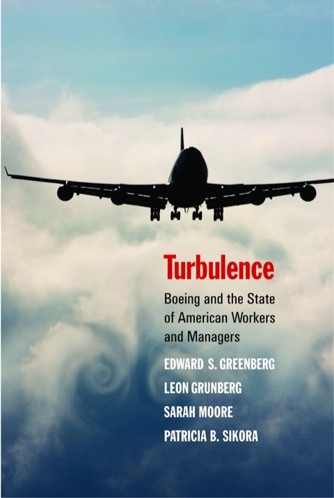 Cover image for book Turbulence