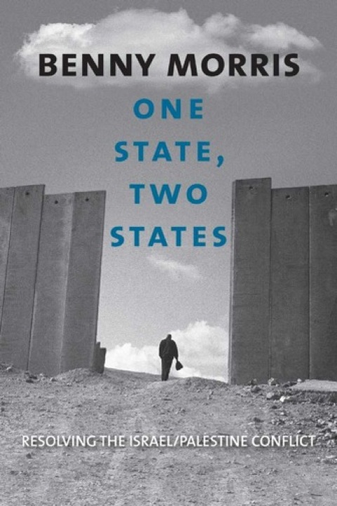 Cover image for book One State, Two States