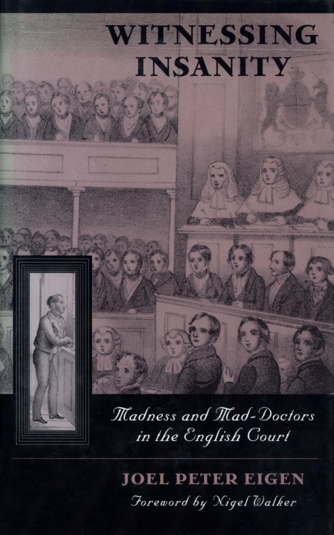 Cover image for book Witnessing Insanity