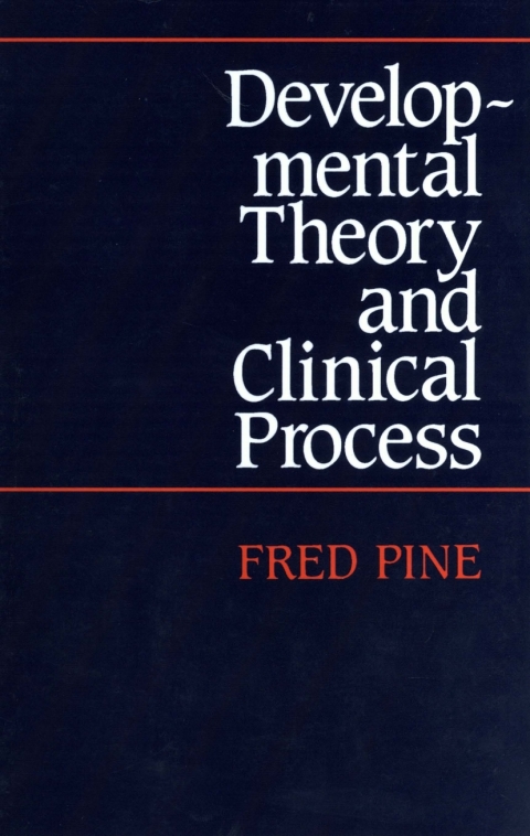 Cover image for book Developmental Theory and Clinical Process