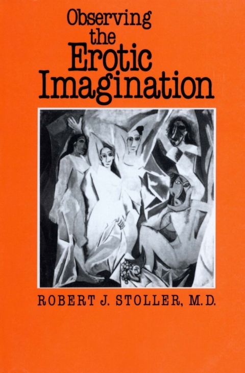 Cover image for book Observing the Erotic Imagination