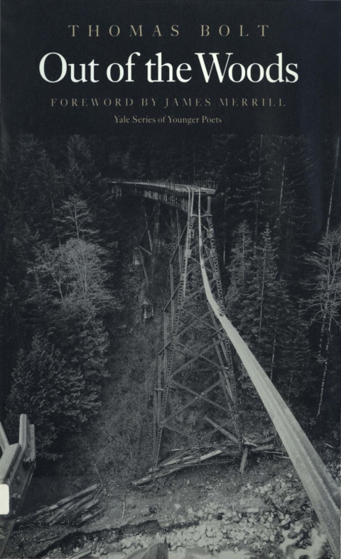 Cover image for book Out of the Woods