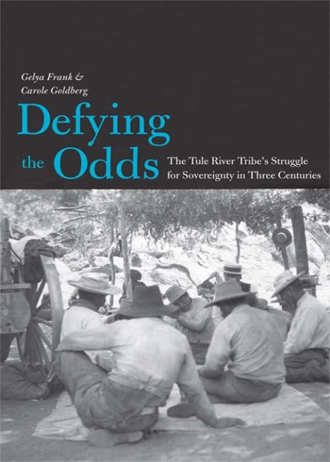 Cover image for book Defying the Odds