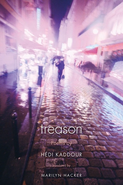 Cover image for book Treason