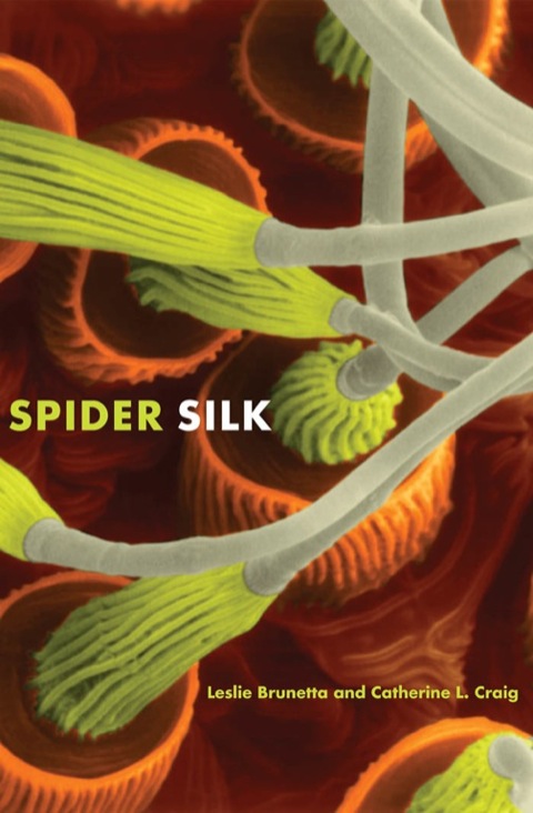 Cover image for book Spider Silk