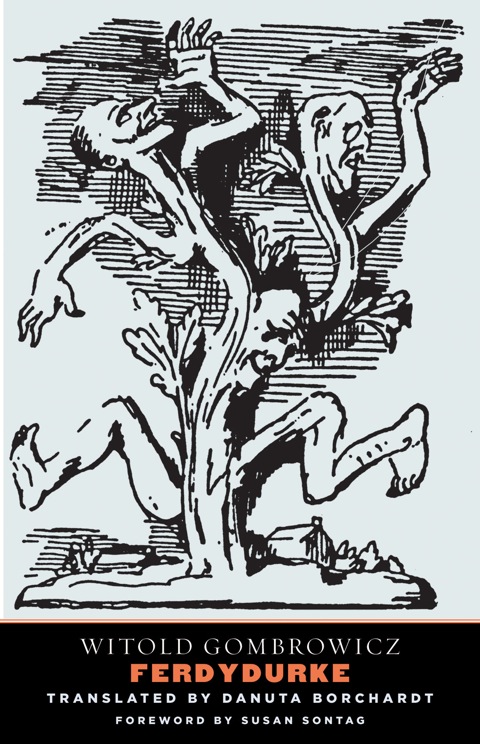 Cover image for book Ferdydurke