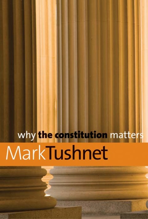 Cover image for book Why the Constitution Matters
