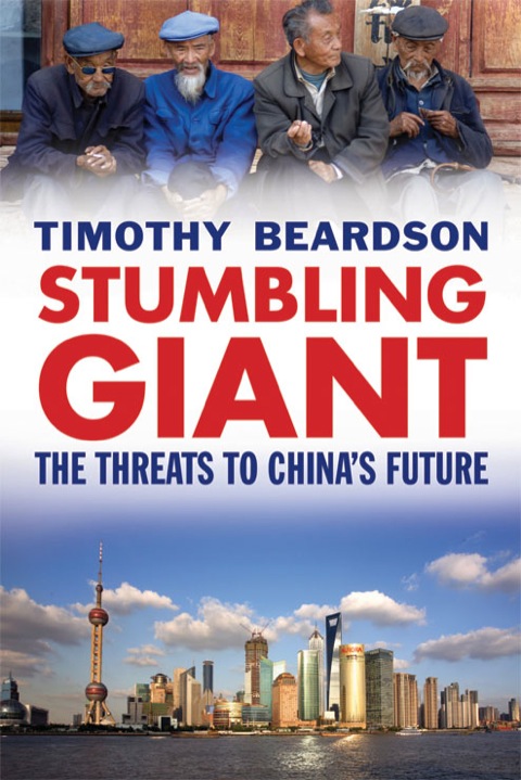Cover image for book Stumbling Giant