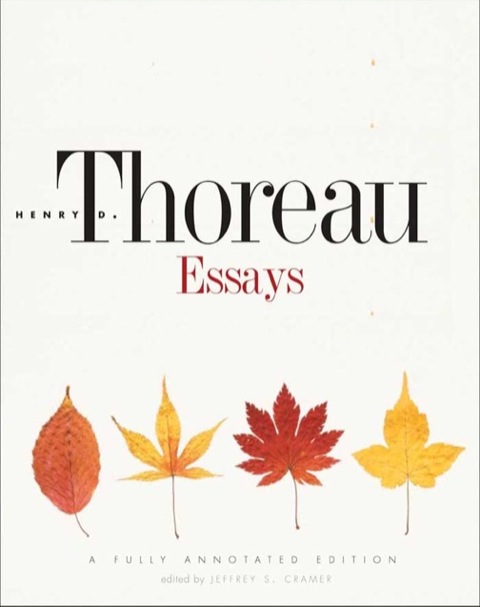 Cover image for book Essays