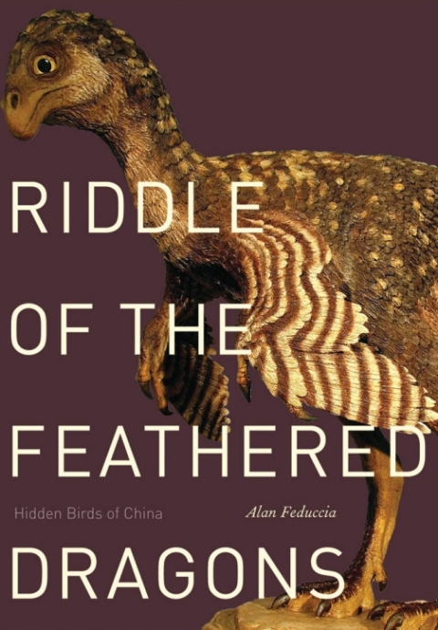 Cover image for book Riddle of the Feathered Dragons