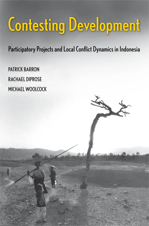 Cover image for book Contesting Development