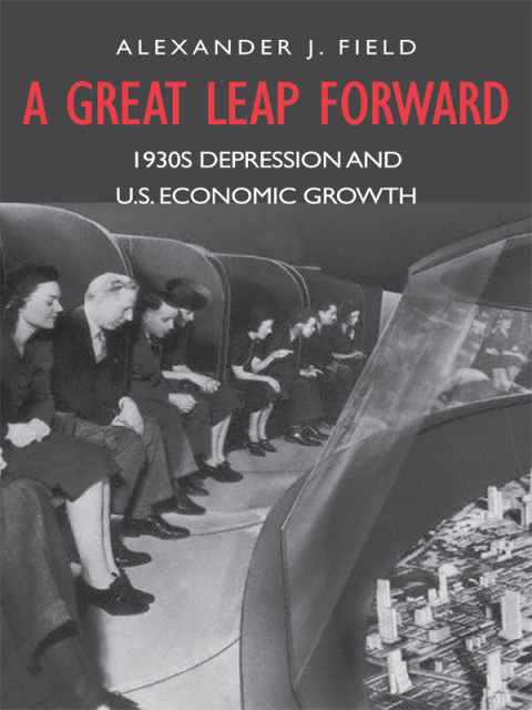 Cover image for book A Great Leap Forward