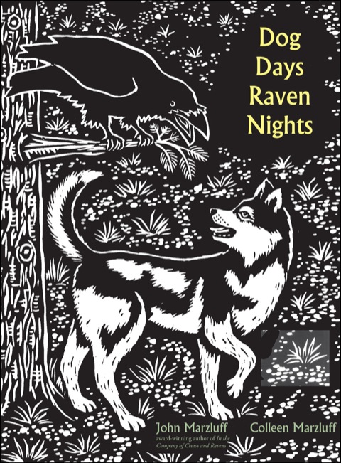 Cover image for book Dog Days, Raven Nights