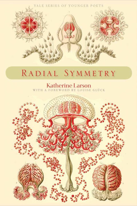 Cover image for book Radial Symmetry