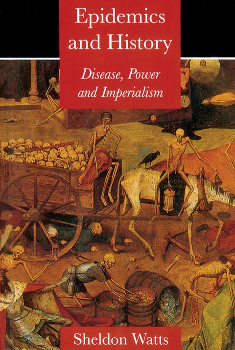 Cover image for book Epidemics and History
