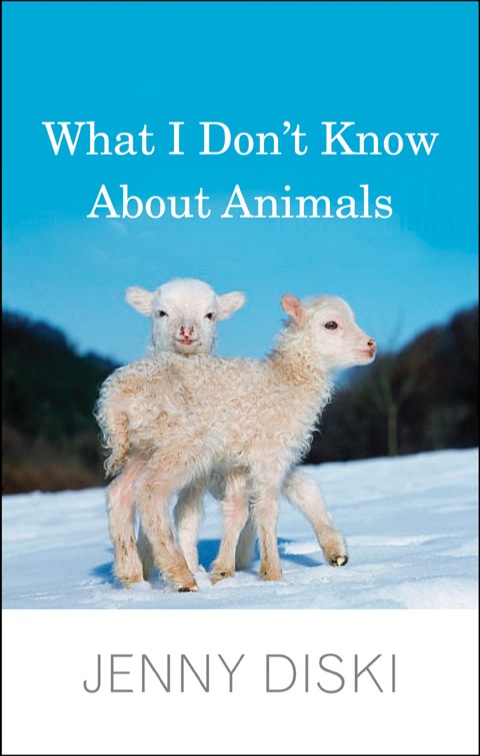 Cover image for book What I Don't Know About Animals