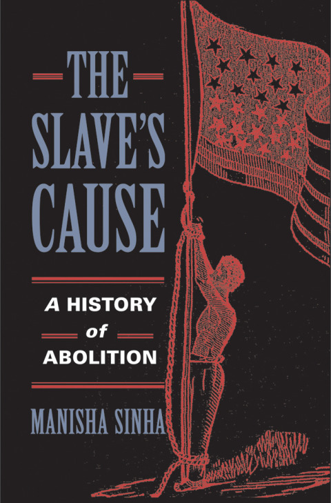 Cover image for book The Slave's Cause