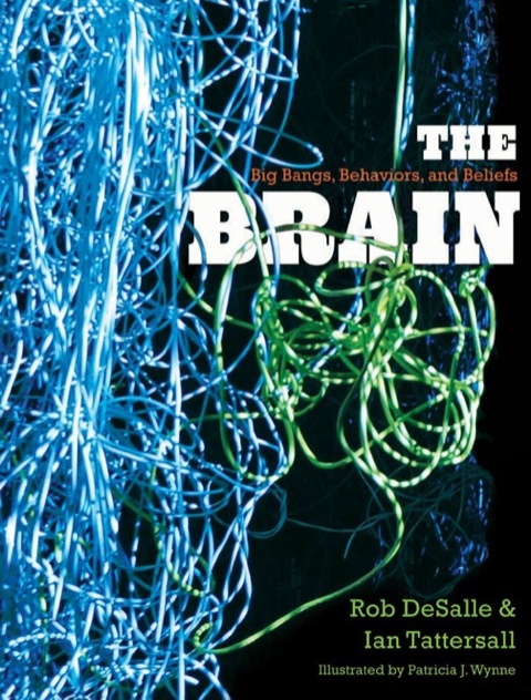 Cover image for book The Brain