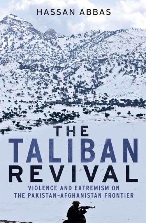 Cover image for book The Taliban Revival