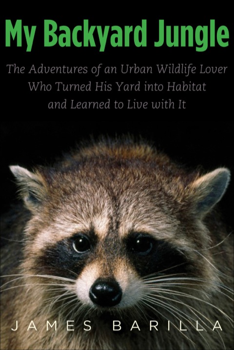 Cover image for book My Backyard Jungle